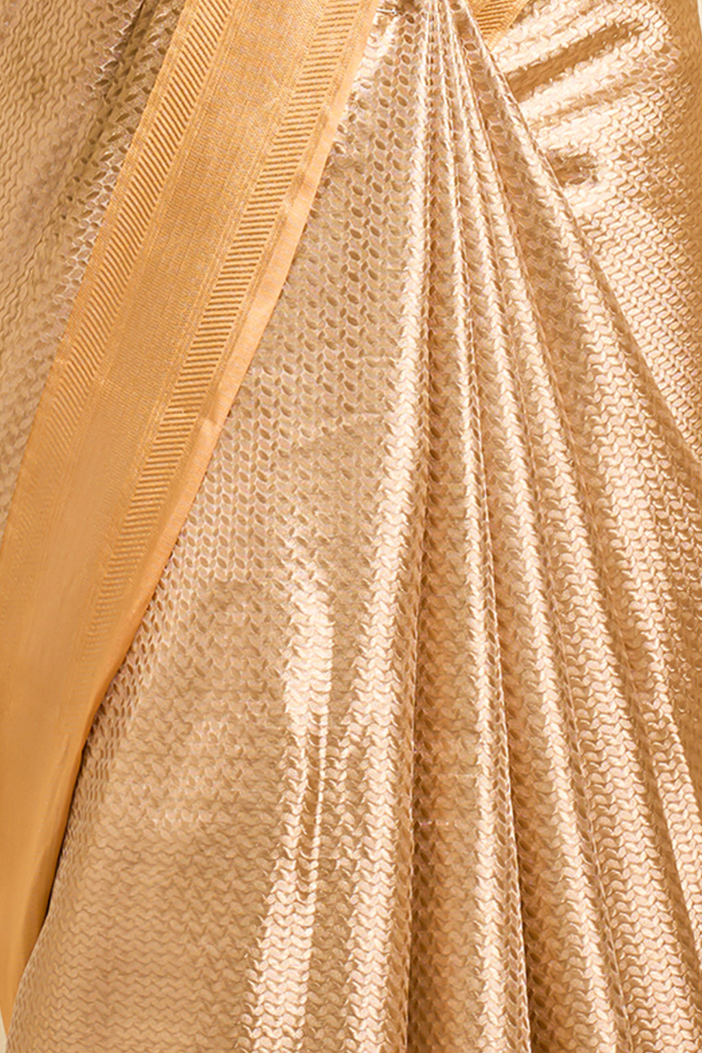 Golden Beige Tissue Saree